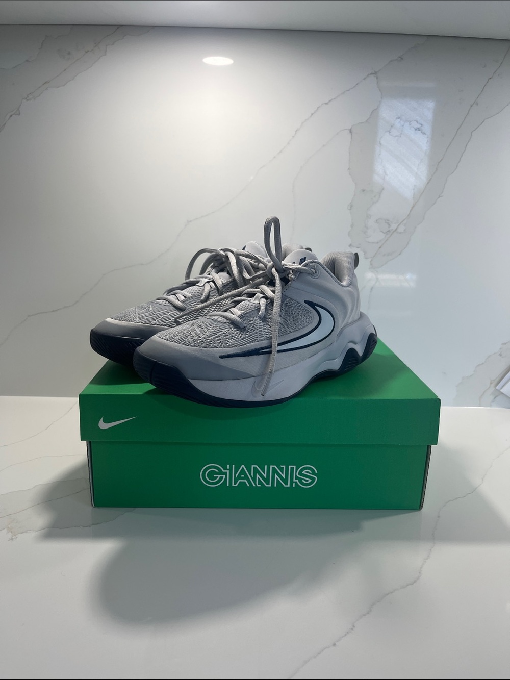 Nike Men’s Gray Giannis Immortality 4 Basketball Shoes